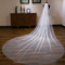 Poročna sijoča tančica poročna tančica izredno dolgega repa bela tančica - Stran 2