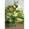 Zeleno-beli tekmo žogo svilene krizantem nevesta drži cvetje - Stran 2