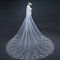 Poročna poročna tančica s prevlečeno tančico Chic Lace Veil Poročni dodatki Veil Factory Outlet - Stran 2