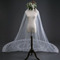 Čipkasta poročna tančica nevesta zadnja tančica 3 metre dolga poročna dodatna oprema, tovarna na debelo - Stran 3