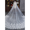 Poroka Veil Lace Uradna Cerkev Podložena Cold Lace