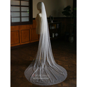 Srebrna bleščeča poročna pokrivala s cerkveno tančico v spreju s srebrno tančico - Stran 6